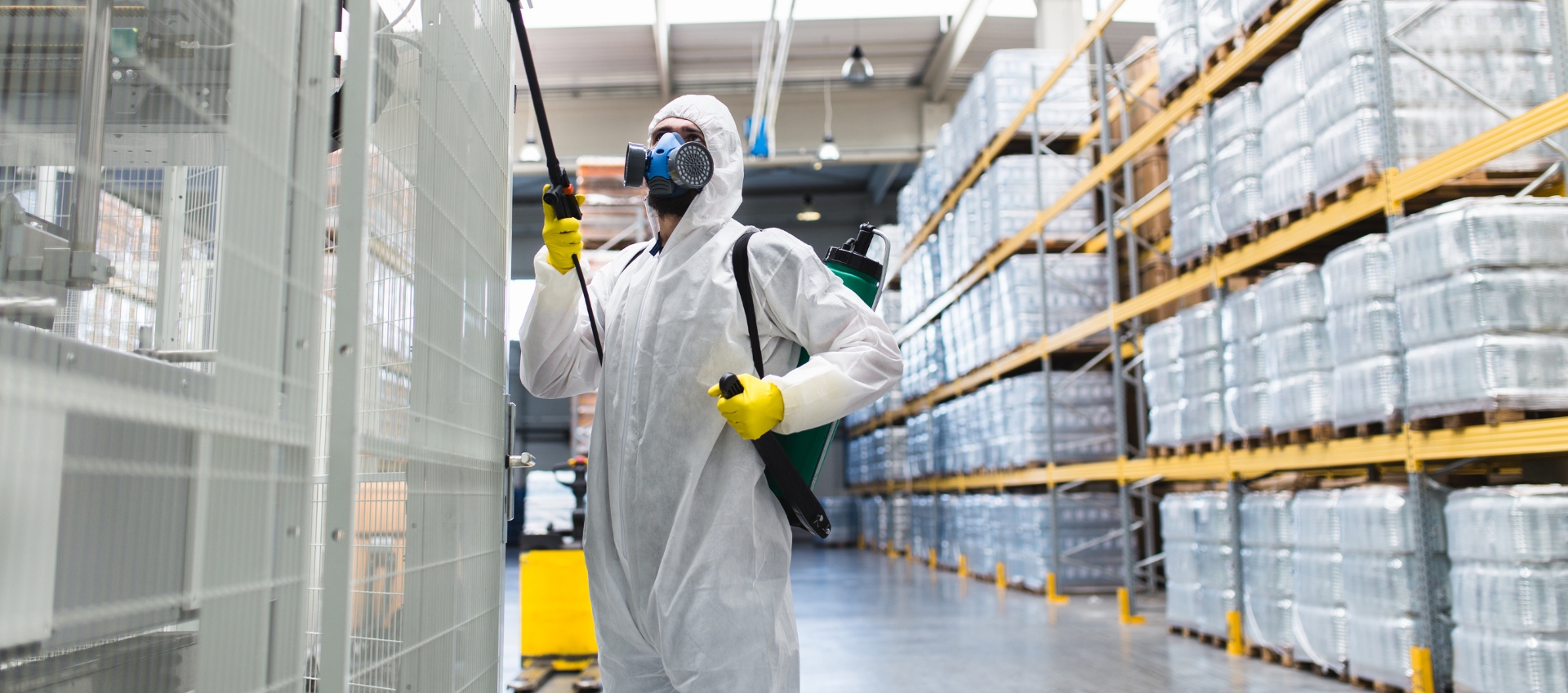 dedetização-comercial